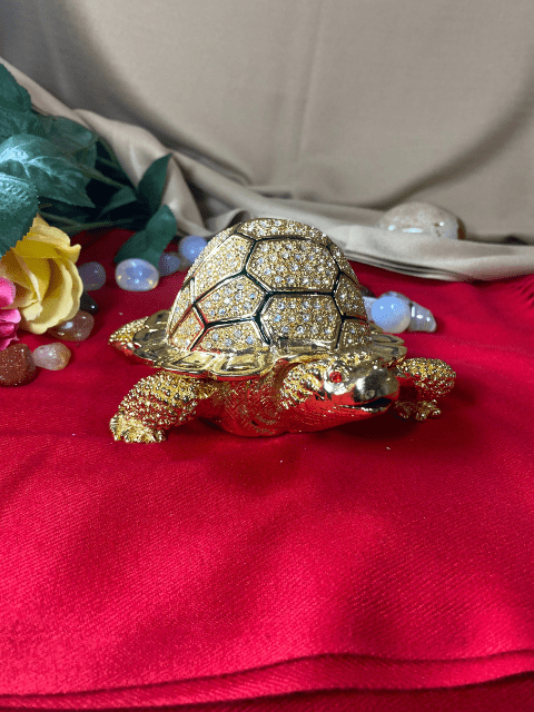 Turtle Trinket Boxes