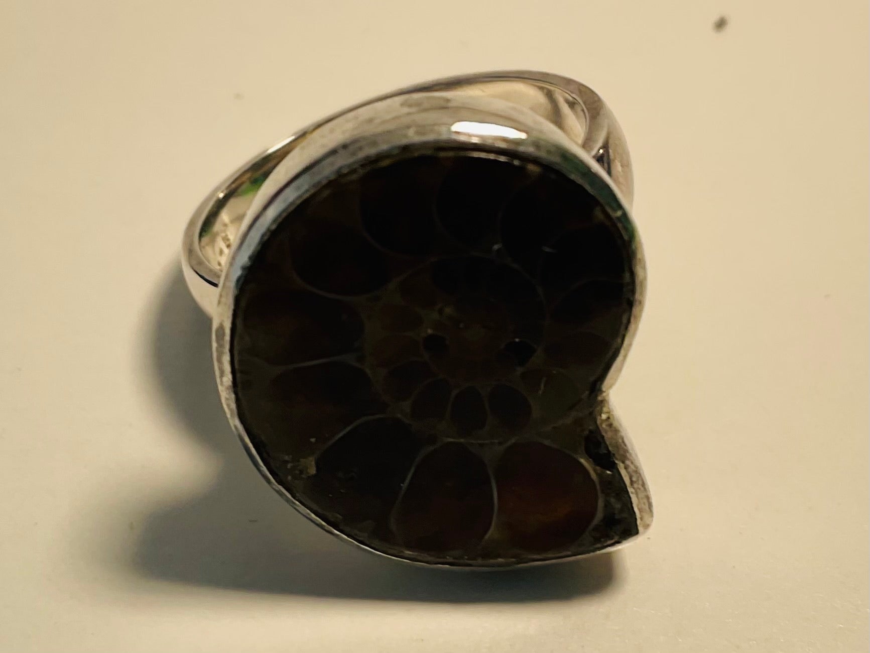 Ammonite ring