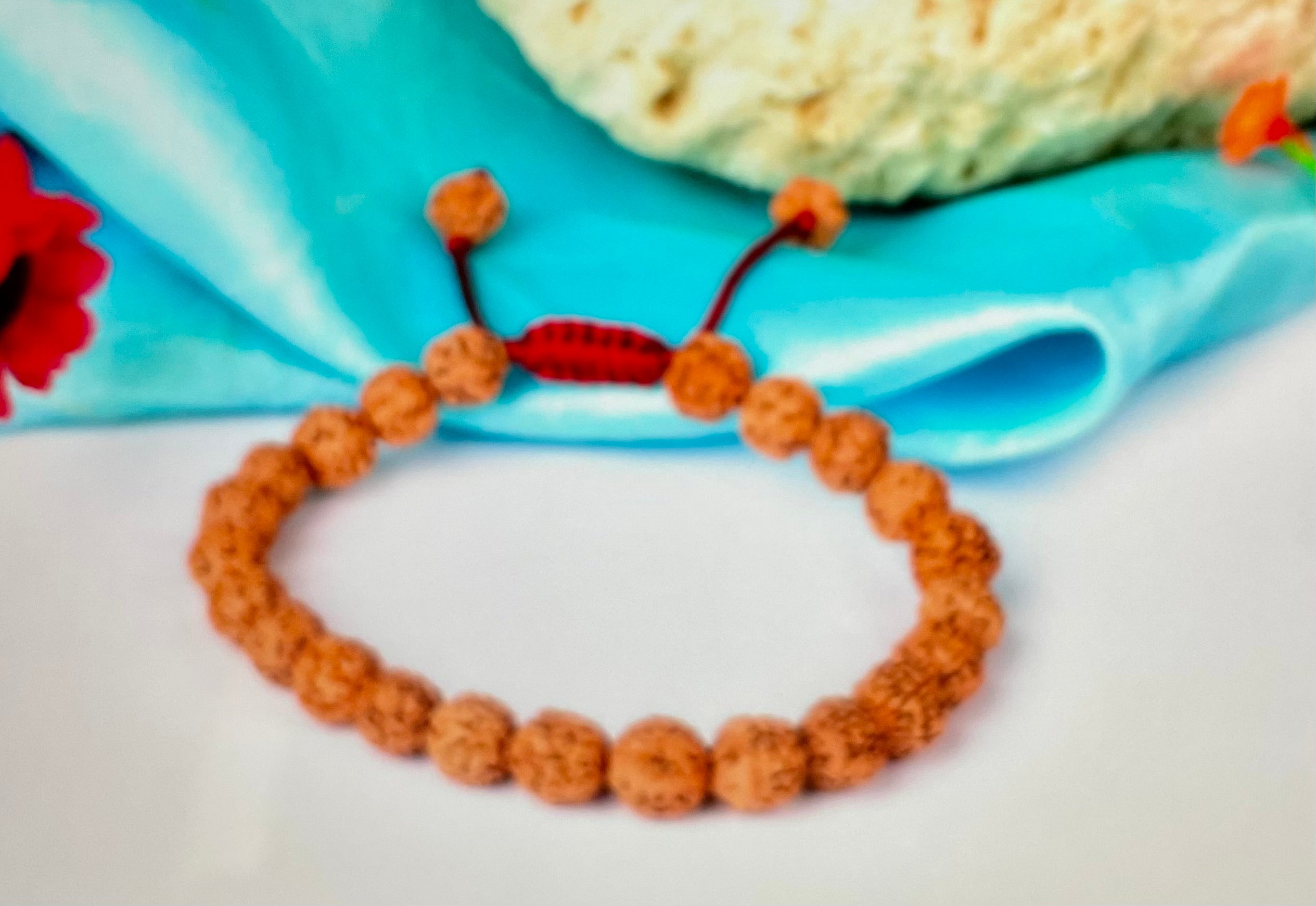 Six mukhi Rudraksha bracelet