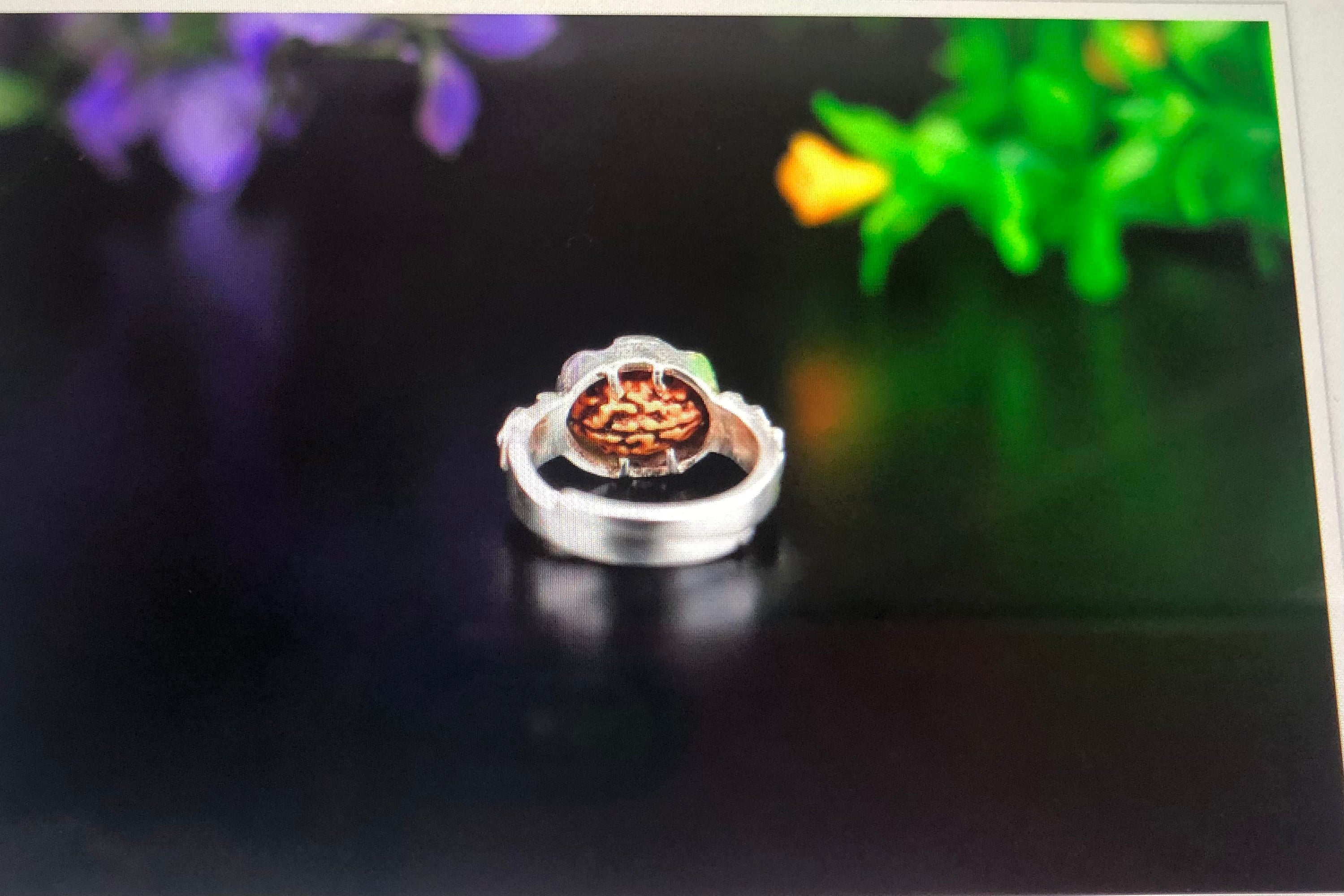Rudraksha ring 3 Mukhi